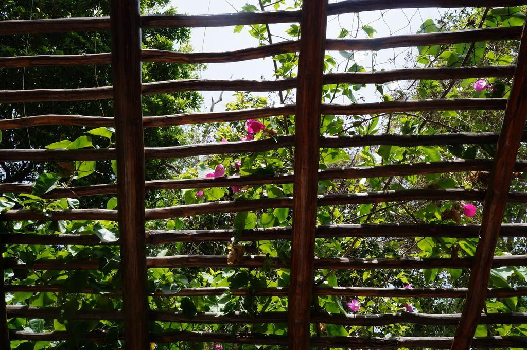 Bed & Breakfast Zenaliza Tulum